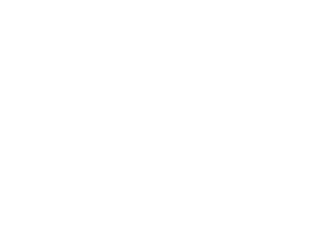 Goverment of South Australia Logo Centered