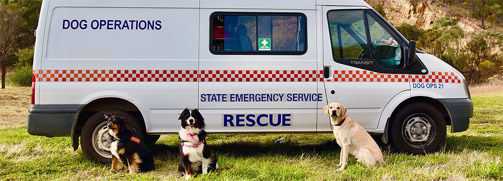Three SES rescue dogs in front of a Dog Operations van